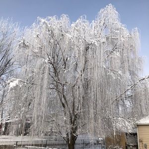 Meet your Posher, Lorraine